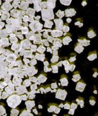 106404  - Natriumchlorid[106404  - Natriumchlorid-ALL].jpg