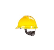 286784IMG.jpg