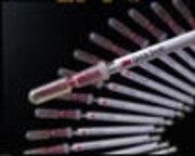 6432 RAPIHISOPO.jpg