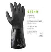 6784R-01.JPG