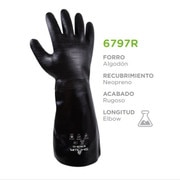 6797R-02.JPG