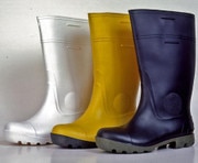 BOTAS PVS SEGUSA.jpg