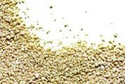 MERCK MEDIOS DE CULTIVO DESHIDRATADOS.jpg