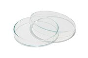 PETRI PLATE GLASS anumbra.jpg